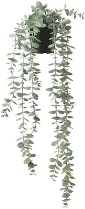 DXB Gadgets Fejka Eucalyptus Indoor & Outdoor Artificial Potted Leaf Plants, 9cm, Green
DXB Gadgets Fejka Eucalyptus Indoor & Outdoor Artificial Potted Leaf Plants, 9cm, Green