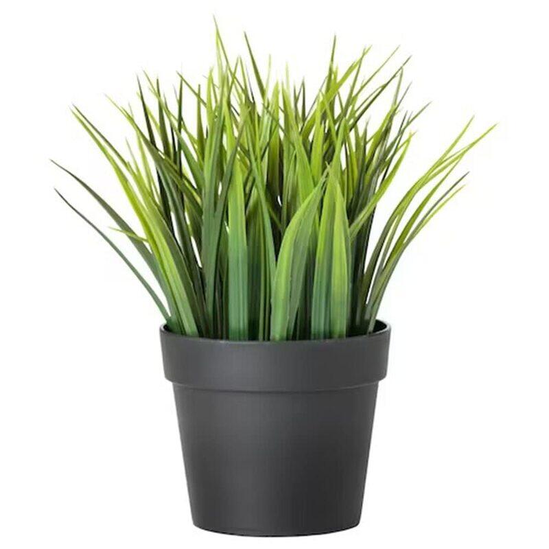 DXB Gadgets Fejka Grass Indoor & Outdoor Artificial Potted Leaf Plants for Home Kitchen Garden Office Wedding Party, 9cm, Green
DXB Gadgets Fejka Grass Indoor & Outdoor Artificial Potted Leaf Plants for Home Kitchen Garden Office Wedding Party, 9cm, Green