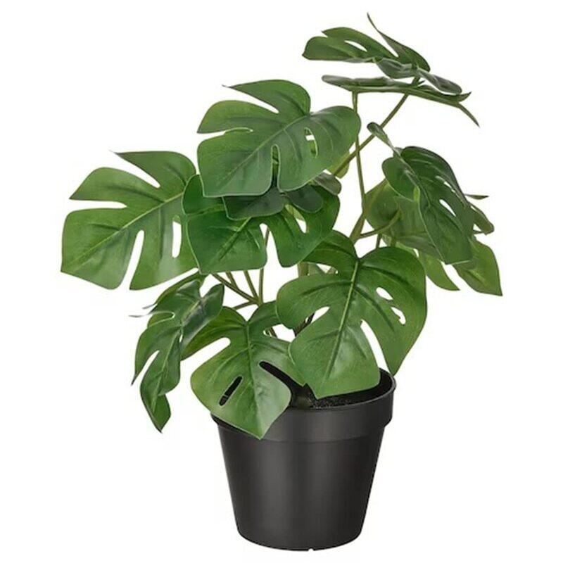 DXB Gadgets Fejka Monstera Indoor & Outdoor Artificial Potted Leaf Plants, 12cm, Green
DXB Gadgets Fejka Monstera Indoor & Outdoor Artificial Potted Leaf Plants, 12cm, Green