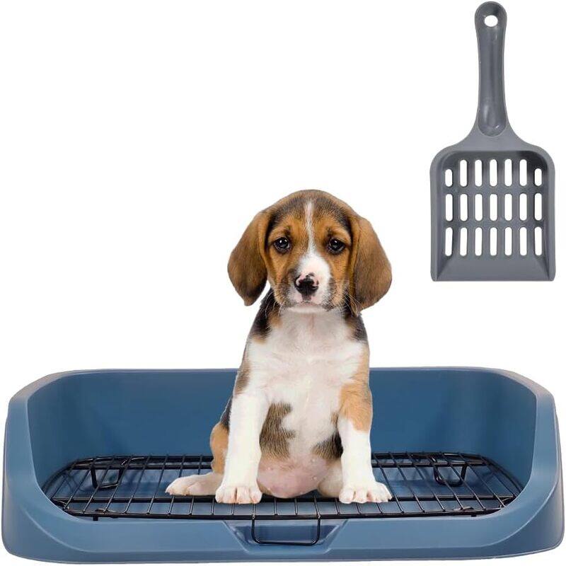 MAJIBAO Flat Dog Toilet Seat With Litter Scoop And Stainless Steel Mesh Rack Enclosure Dog Training Tray,Keep Paws and Floors Clean,Dog litter tray ,Washable
MAJIBAO Flat Dog Toilet Seat With Litter Scoop And Stainless Steel Mesh Rack Enclosure Dog Training Tray,Keep Paws and Floors Clean,Dog litter tray ,Washable