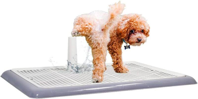 MAJIBAO Dog pee pad holder, Indoor and Outdoor training toilet for medium and large dogs, keep Paws dry And floor clean, Dog potty tray with standing post (Gr
MAJIBAO Dog pee pad holder, Indoor and Outdoor training toilet for medium and large dogs, keep Paws dry And floor clean, Dog potty tray with standing post (Gr