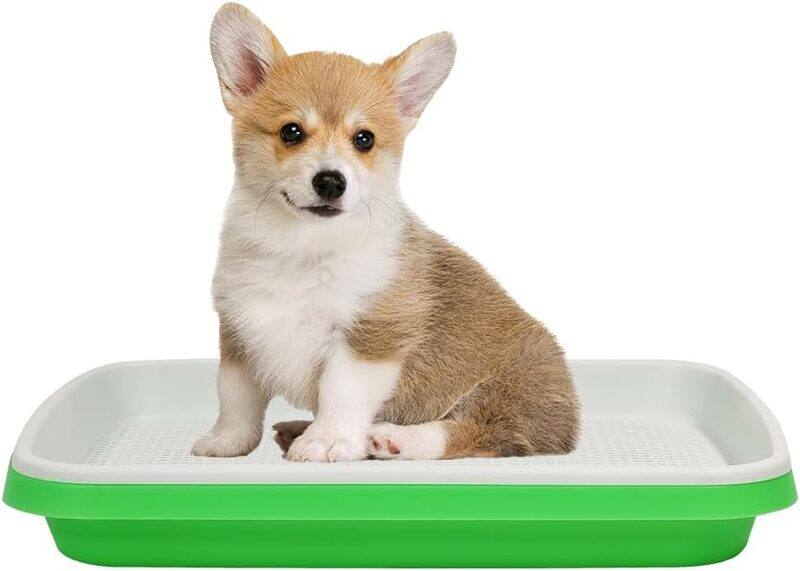 MAJIBAO Small dog toilet, Indoor and outdoor puppy training toilet, Pee pads holder for small puppy, Easy to clean, Prevent splashing urine 33 cm L (White and
MAJIBAO Small dog toilet, Indoor and outdoor puppy training toilet, Pee pads holder for small puppy, Easy to clean, Prevent splashing urine 33 cm L (White and