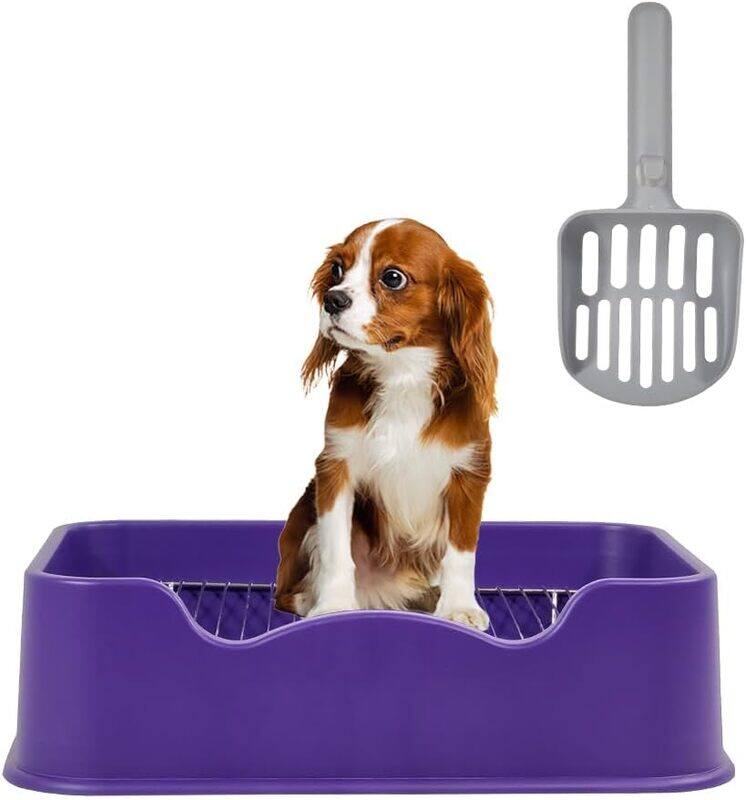 MAJIBAO Dog Pee Training Toilet With Litter Scoop, Indoor & Outdoor Dog Tray for Small and Medium Dogs, Dog Litter Box Stainless Steel Mesh Rack (Purple Color
MAJIBAO Dog Pee Training Toilet With Litter Scoop, Indoor & Outdoor Dog Tray for Small and Medium Dogs, Dog Litter Box Stainless Steel Mesh Rack (Purple Color