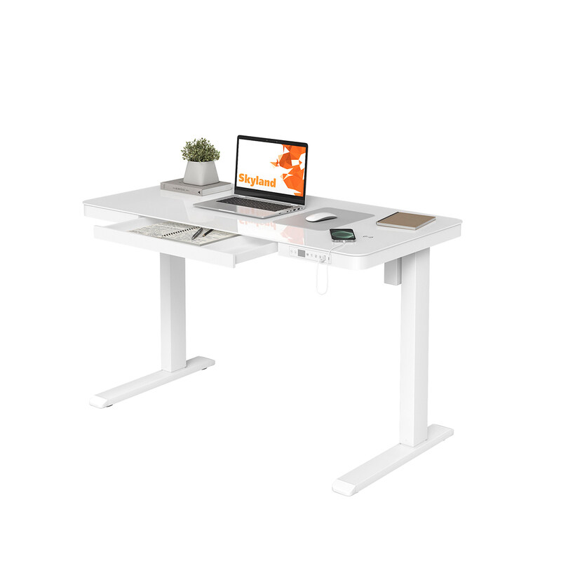 SkyLand Electric Height Adjustable Desk - Sit-Stand Workstation with Drawer, Wireless Charging, Tempered Glass, Memory Control, Child Lock, Dual USB a
SkyLand Electric Height Adjustable Desk - Sit-Stand Workstation with Drawer, Wireless Charging, Tempered Glass, Memory Control, Child Lock, Dual USB a