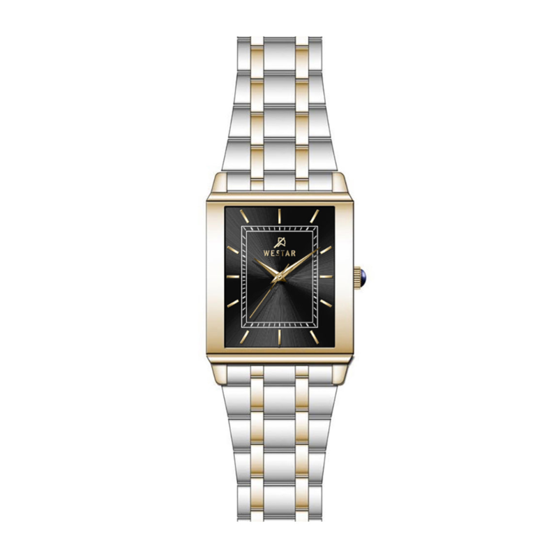 Westar Analog Watch for Women with Stainless Steel Band, Water Resistant, EX6592CBN103, Silver/gold-Black
Westar Analog Watch for Women with Stainless Steel Band, Water Resistant, EX6592CBN103, Silver/gold-Black