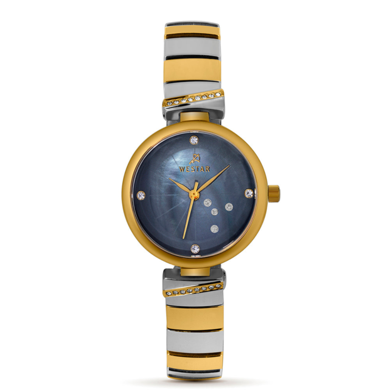 Westar Analog Watch for Women with Stainless Steel Band, Water Resistant, 00147CBN113, Gold/silver-Blue
Westar Analog Watch for Women with Stainless Steel Band, Water Resistant, 00147CBN113, Gold/silver-Blue