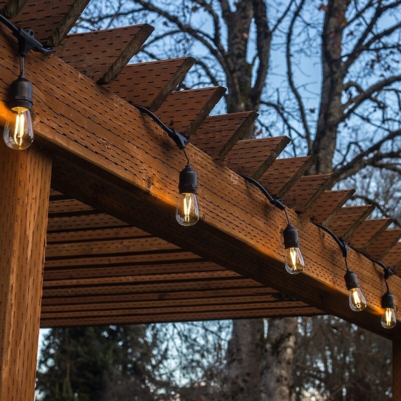 Salhiya Lighting 10-Meter Belt Lights/Festoon Lights 2 Filaments with Connectable Hanging Holder, E27 Bulb Type, KLE2702, Black
Salhiya Lighting 10-Meter Belt Lights/Festoon Lights 2 Filaments with Connectable Hanging Holder, E27 Bulb Type, KLE2702, Black