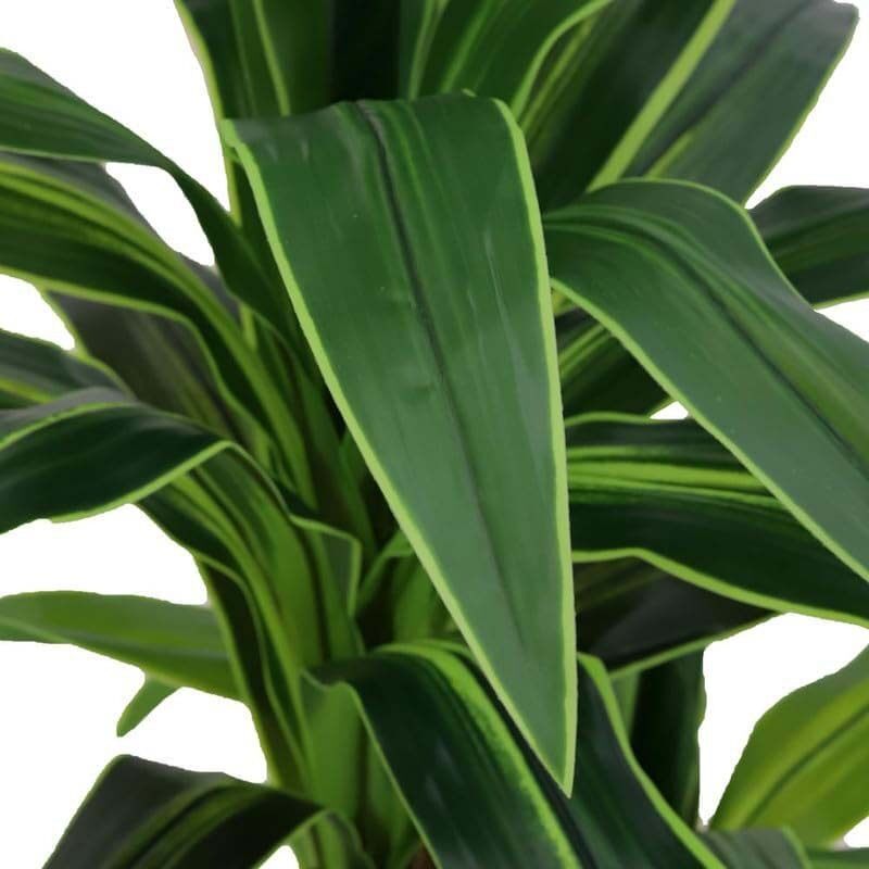 Generic Nearly Natural Real Touch Artificial Corn Leaf Plant, 95 x 95 x 120cm, Green/Brown
Generic Nearly Natural Real Touch Artificial Corn Leaf Plant, 95 x 95 x 120cm, Green/Brown