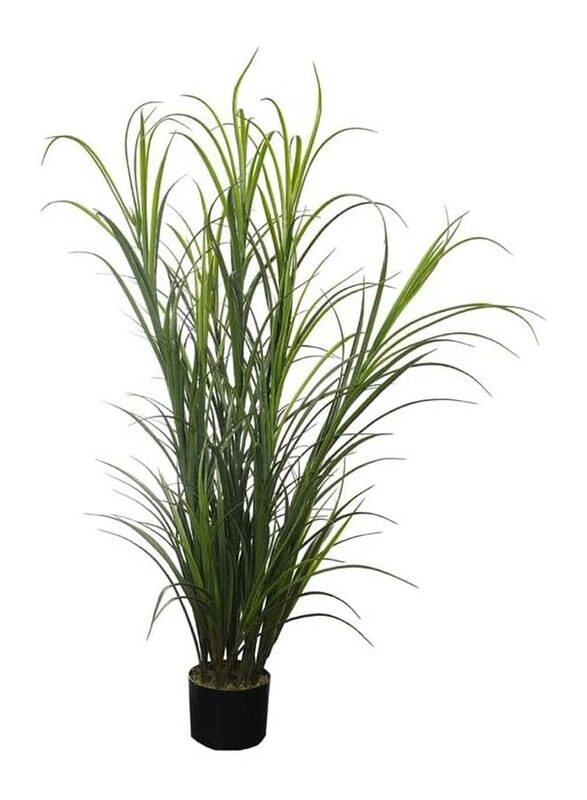 Generic Nearly Natural Real Touch Artificial Lemongrass, 60 x 60 x 120cm, Green/Brown
Generic Nearly Natural Real Touch Artificial Lemongrass, 60 x 60 x 120cm, Green/Brown