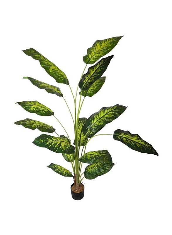 Generic Nearly Natural Real Touch Artificial Diffenbachia Plant, 120 x 120 x 170cm, Green/Brown
Generic Nearly Natural Real Touch Artificial Diffenbachia Plant, 120 x 120 x 170cm, Green/Brown