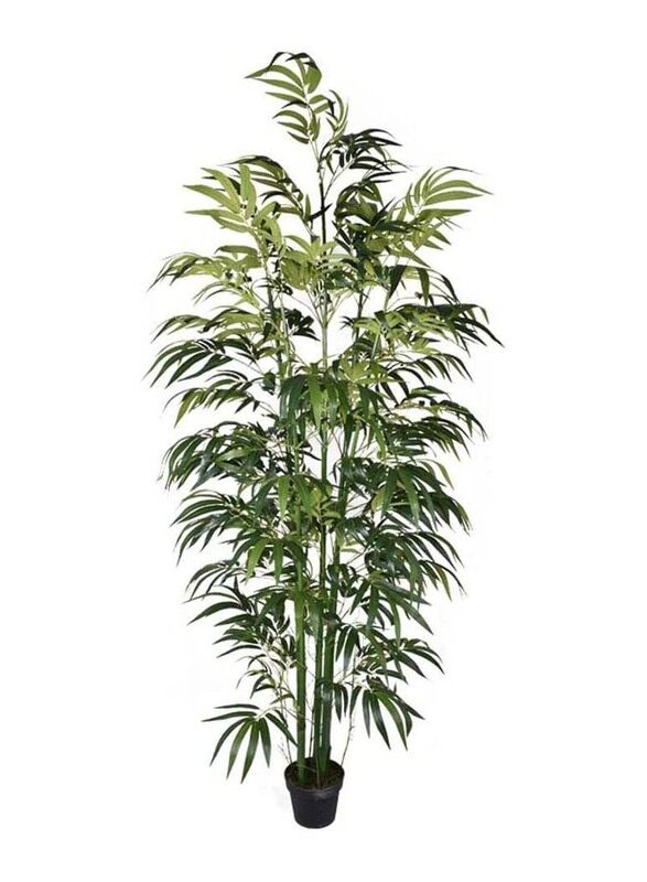 Generic Nearly Natural Real Touch Artificial Bambo Plant, 115 x 115 x 245cm, Green/Brown
Generic Nearly Natural Real Touch Artificial Bambo Plant, 115 x 115 x 245cm, Green/Brown