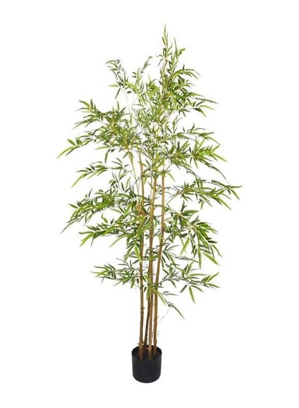 Generic Nearly Natural Real Touch Artificial Bamboo Plant, 80 x 80 x 150cm, Green/Brown
Generic Nearly Natural Real Touch Artificial Bamboo Plant, 80 x 80 x 150cm, Green/Brown
