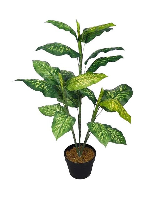 Generic Nearly Natural Real Touch Artificial Diffenbachia Plant, 70 x 70 x 85cm, Green/Brown
Generic Nearly Natural Real Touch Artificial Diffenbachia Plant, 70 x 70 x 85cm, Green/Brown