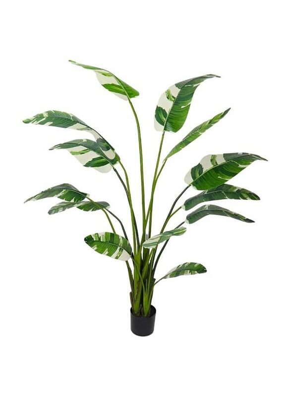 Generic Nearly Natural Real Touch Artificial Banana Plant, 170 x 170 x 200cm, Green/Brown
Generic Nearly Natural Real Touch Artificial Banana Plant, 170 x 170 x 200cm, Green/Brown