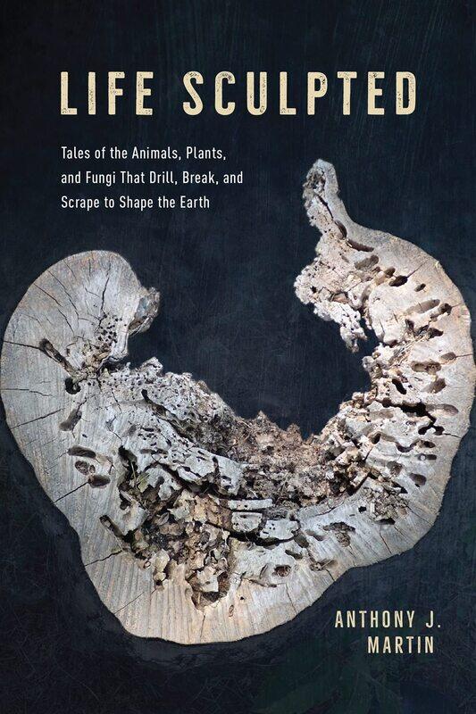 Life Sculpted: Tales of the Animals, Plants, and Fungi That Drill, Break, and Scrape to Shape the Earth
Life Sculpted: Tales of the Animals, Plants, and Fungi That Drill, Break, and Scrape to Shape the Earth