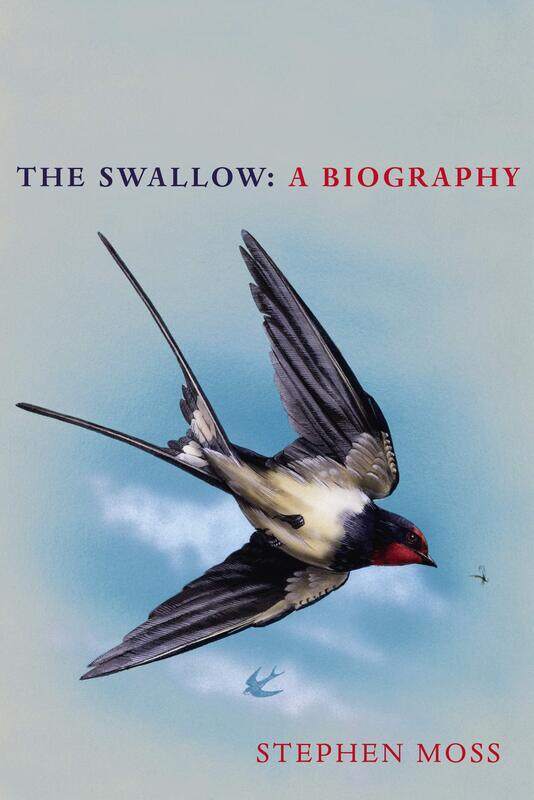 The Swallow: A Biography (Shortlisted for the Richard Jefferies Society and White Horse Bookshop Literary Award)
The Swallow: A Biography (Shortlisted for the Richard Jefferies Society and White Horse Bookshop Literary Award)