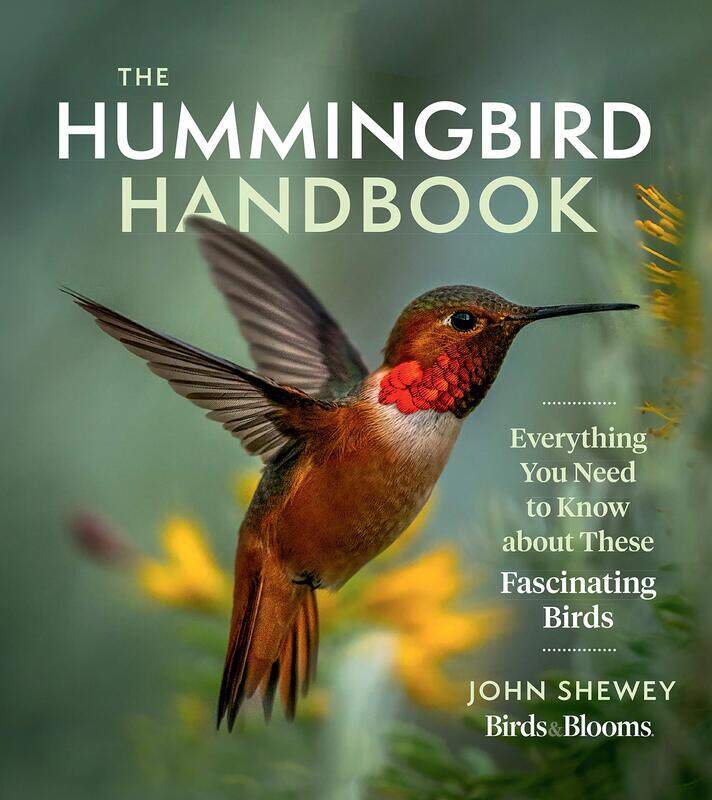 The Hummingbird Handbook: Everything You Need to Know about These Fascinating Birds
The Hummingbird Handbook: Everything You Need to Know about These Fascinating Birds