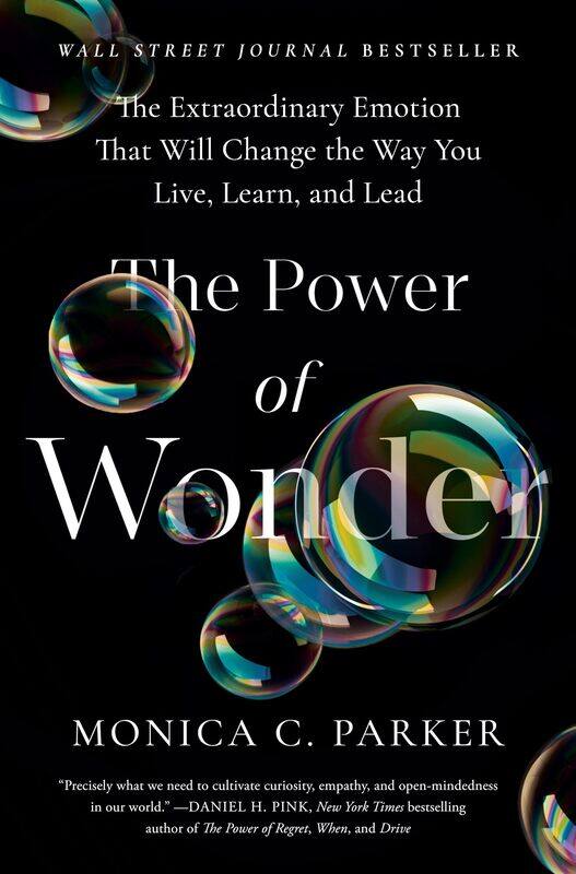 The Power of Wonder: The Extraordinary Emotion That Will Change the Way You Live, Learn, and Lead
The Power of Wonder: The Extraordinary Emotion That Will Change the Way You Live, Learn, and Lead