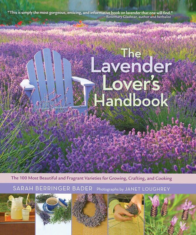 The Lavender Lover's Handbook: The 100 Most Beautiful and Fragrant Varieties for Growing, Crafting, and Cooking
The Lavender Lover's Handbook: The 100 Most Beautiful and Fragrant Varieties for Growing, Crafting, and Cooking