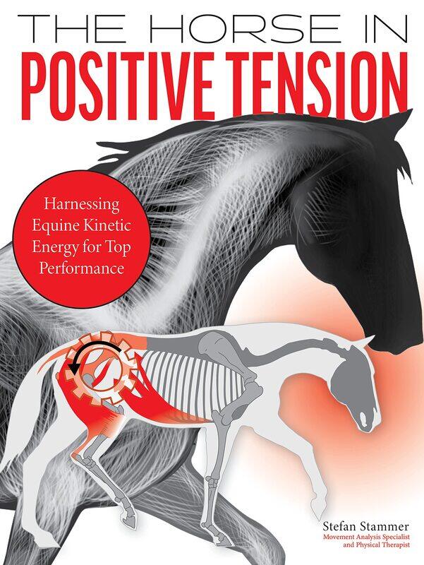 The Horse in Positive Tension: Harnessing Equine Kinetic Energy for Top Performance
The Horse in Positive Tension: Harnessing Equine Kinetic Energy for Top Performance