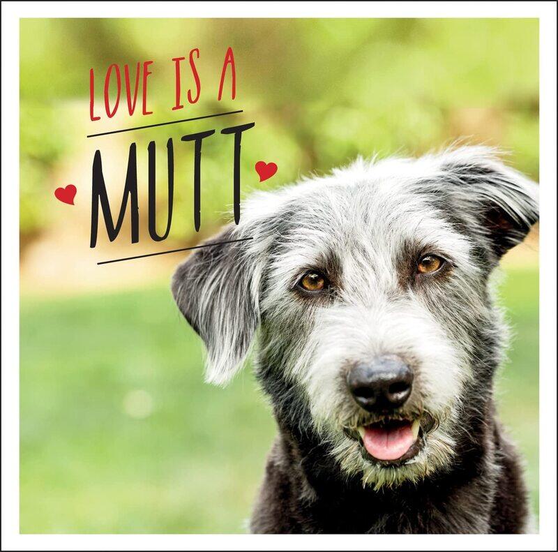 Love is a Mutt: A Dog-Tastic Celebration of the World's Cutest Mixed and Cross Breeds
Love is a Mutt: A Dog-Tastic Celebration of the World's Cutest Mixed and Cross Breeds