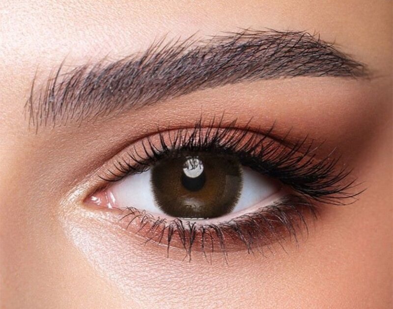 Bella One Day Cedar Pack Of 10 Daily Disposable Contact Lenses, Colored Contact Lenses, Unisex, Cosmetic Contact Lenses, Brown Contact Lenses
Bella One Day Cedar Pack Of 10 Daily Disposable Contact Lenses, Colored Contact Lenses, Unisex, Cosmetic Contact Lenses, Brown Contact Lenses