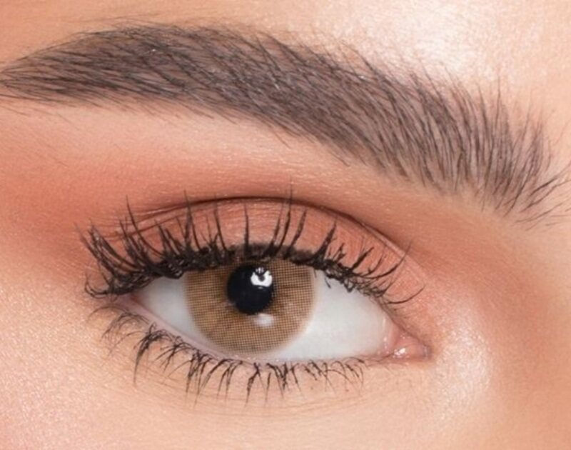 Naturel Core Marron, 6 Months Disposable Contact Lenses, Colored Contact Lenses, Cosmetic Contact Lenses, Brown Contact Lenses, Pack Of 2
Naturel Core Marron, 6 Months Disposable Contact Lenses, Colored Contact Lenses, Cosmetic Contact Lenses, Brown Contact Lenses, Pack Of 2