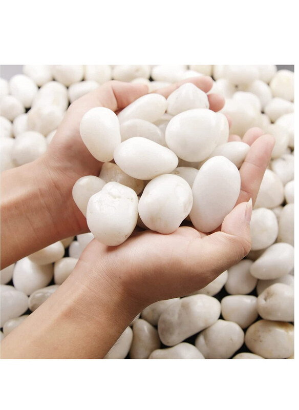 Vsell24 Decorative Pebbles River Rock Large Light Polished Stones for Glassware/Vases/Outdoor Garden/Lawn Aquariums, White
Vsell24 Decorative Pebbles River Rock Large Light Polished Stones for Glassware/Vases/Outdoor Garden/Lawn Aquariums, White