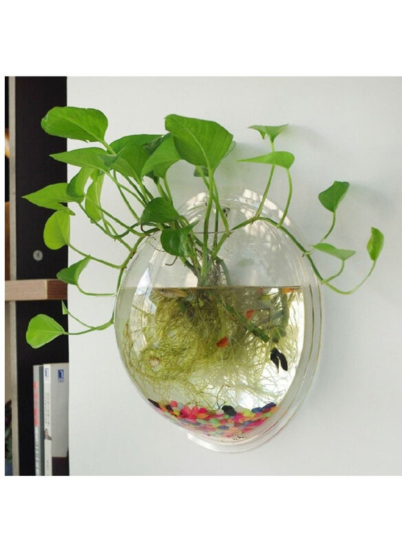 Vsell24 Plant Acrylic Hanging Wall Mounted Hanging Plants Bowl for Home Decoration, Clear
Vsell24 Plant Acrylic Hanging Wall Mounted Hanging Plants Bowl for Home Decoration, Clear