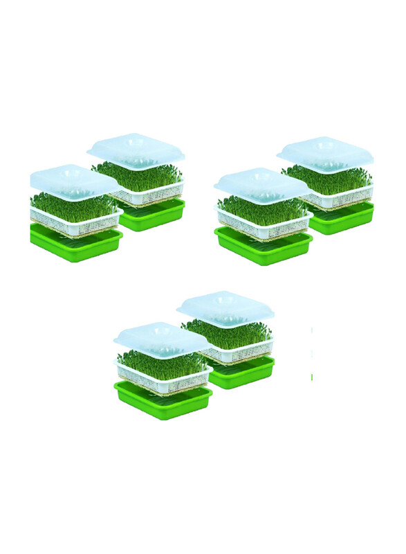 Vsell24 Healthy Wheatgrass Sprouting Kit with Lid for Large Capacity, Soil-Free Growth, 6 Pieces, Green/White
Vsell24 Healthy Wheatgrass Sprouting Kit with Lid for Large Capacity, Soil-Free Growth, 6 Pieces, Green/White