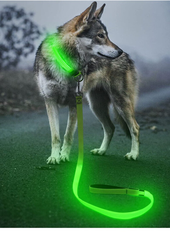 As Seen On Tv Ultra High Night Visibility USB Rechargeable Flashing Pet Leash Glow in The Night, Large, Green
As Seen On Tv Ultra High Night Visibility USB Rechargeable Flashing Pet Leash Glow in The Night, Large, Green