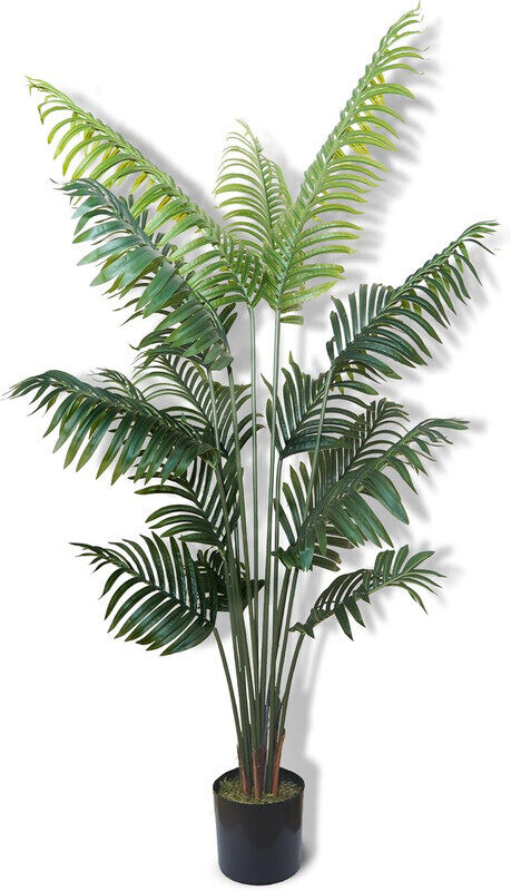 ESSENTIALS 360 Artificial Plant Areca Palm Tree 160cm High, Artificial Plants Fake Plant with Pot, Outdoor & Indoor Artificial Tree for Home Decor, Li
ESSENTIALS 360 Artificial Plant Areca Palm Tree 160cm High, Artificial Plants Fake Plant with Pot, Outdoor & Indoor Artificial Tree for Home Decor, Li