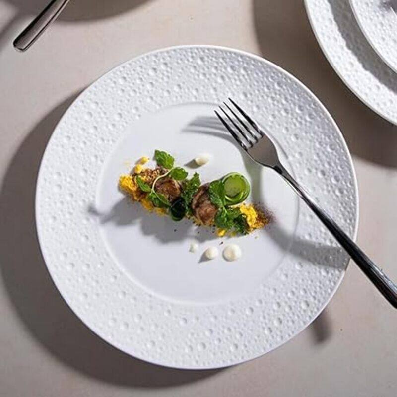 MAAC Home Everyday Essential Plate (Round Plate) Elegant Durable and Classic design Perfect for Family Everyday Use, and Family Get- Together, Restau
MAAC Home Everyday Essential Plate (Round Plate) Elegant Durable and Classic design Perfect for Family Everyday Use, and Family Get- Together, Restau