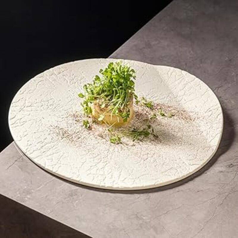 MAAC Home Concrete Style Plate with Moon Design Elegant Durable and Classic design Perfect for Family Everyday Use, and Family Get- Together, Restaura
MAAC Home Concrete Style Plate with Moon Design Elegant Durable and Classic design Perfect for Family Everyday Use, and Family Get- Together, Restaura