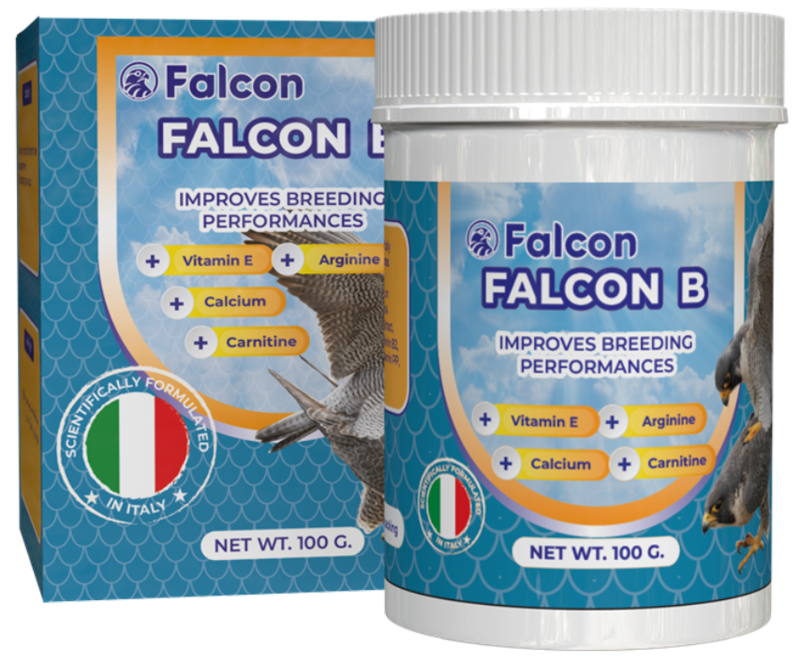 FALCON SUPPLEMENTS. Geavet Falcon B (100 g). Improve breeding performances in male and female falcons
FALCON SUPPLEMENTS. Geavet Falcon B (100 g). Improve breeding performances in male and female falcons