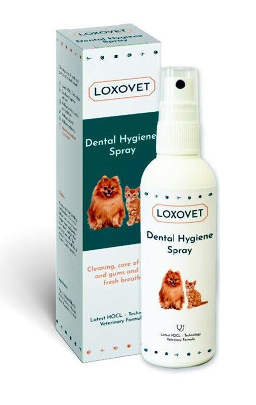 Loxovet DENTAL HYGIENE SPRAY. Toothpaste Spray for Dogs and Cats, Deeply Cleans Teeth and Gums, Prevents Inflammation and Plaque Build-up, for Fresh and Healt
Loxovet DENTAL HYGIENE SPRAY. Toothpaste Spray for Dogs and Cats, Deeply Cleans Teeth and Gums, Prevents Inflammation and Plaque Build-up, for Fresh and Healt