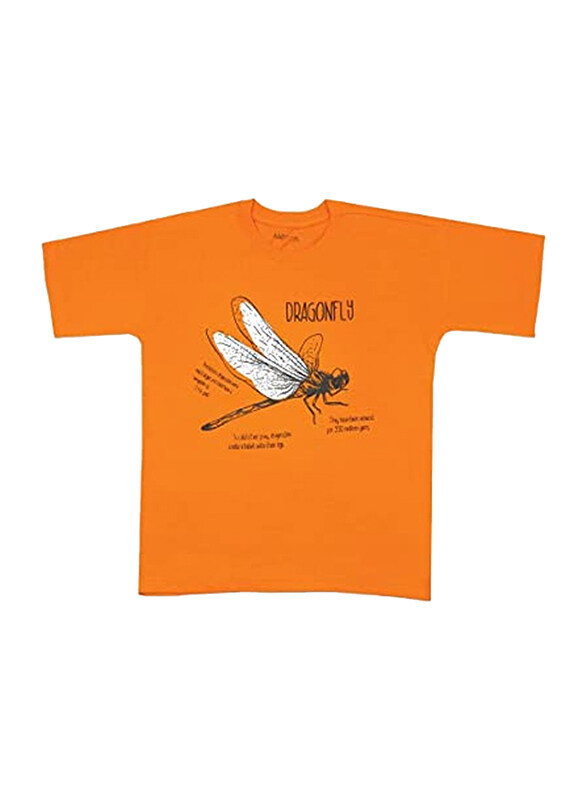 Aiko Cotton Dragonfly Stylish Printed Half Sleeve T-Shirt for Boys, 3-4 Years, Orange
Aiko Cotton Dragonfly Stylish Printed Half Sleeve T-Shirt for Boys, 3-4 Years, Orange