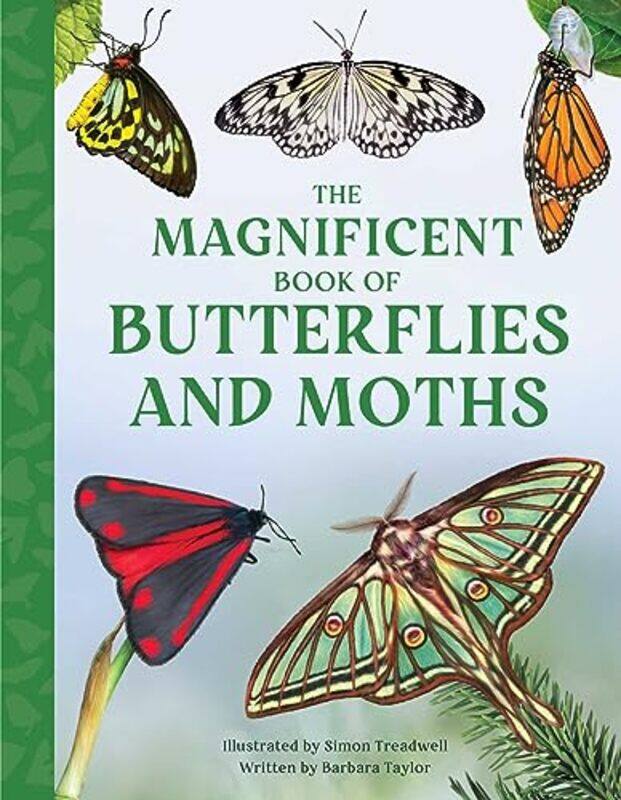 The Magnificent Book of Butterflies and Moths by Barbara TaylorSimon Treadwell -Hardcover
The Magnificent Book of Butterflies and Moths by Barbara TaylorSimon Treadwell -Hardcover