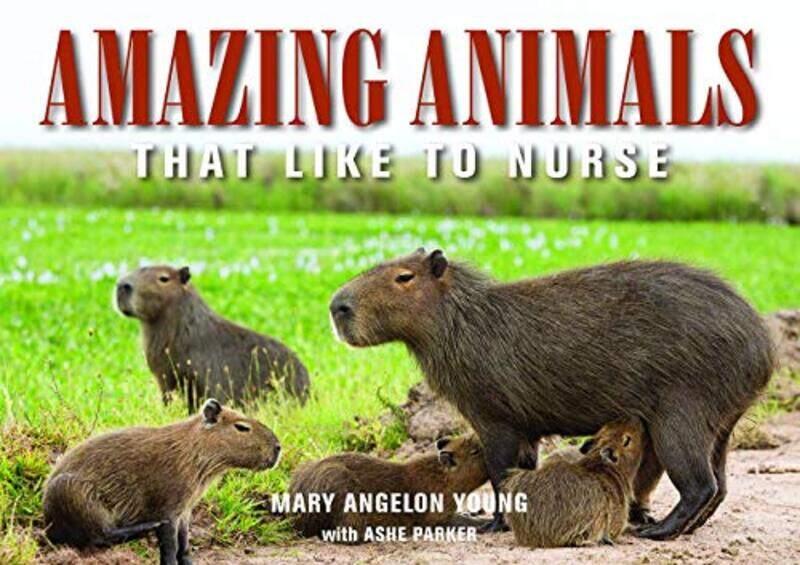 Amazing Animals by Ali University of Waterloo Ontario Canada ElkamelHesham AlhumadeNavid OmidbakhshKeyvan NowruziThomas Duever-Paperback
Amazing Animals by Ali University of Waterloo Ontario Canada ElkamelHesham AlhumadeNavid OmidbakhshKeyvan NowruziThomas Duever-Paperback