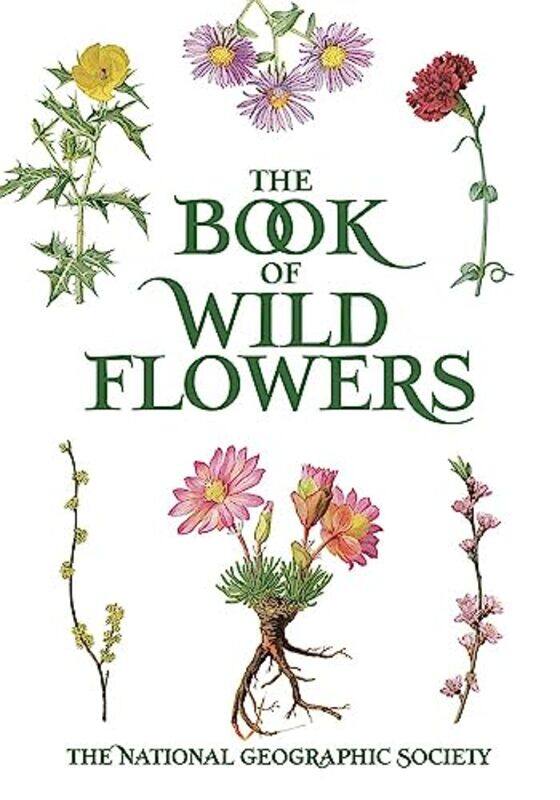 Book of Wild Flowers by Filippo Aletti Gestielle Alternative SGR Italy Stefanini-Paperback
Book of Wild Flowers by Filippo Aletti Gestielle Alternative SGR Italy Stefanini-Paperback