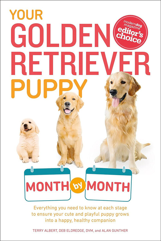 Your Golden Retriever Puppy Month by Month, Paperback Book, By: Terry Albert, Debra Eldredge DVM, Alan Gunther
Your Golden Retriever Puppy Month by Month, Paperback Book, By: Terry Albert, Debra Eldredge DVM, Alan Gunther