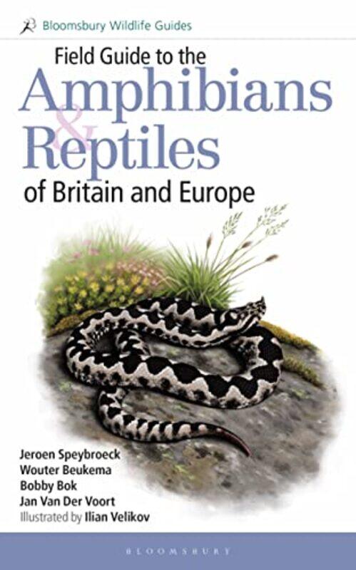 Field Guide to the Amphibians and Reptiles of Britain and Europe by Professor Kenneth M Zeichner-Paperback
Field Guide to the Amphibians and Reptiles of Britain and Europe by Professor Kenneth M Zeichner-Paperback