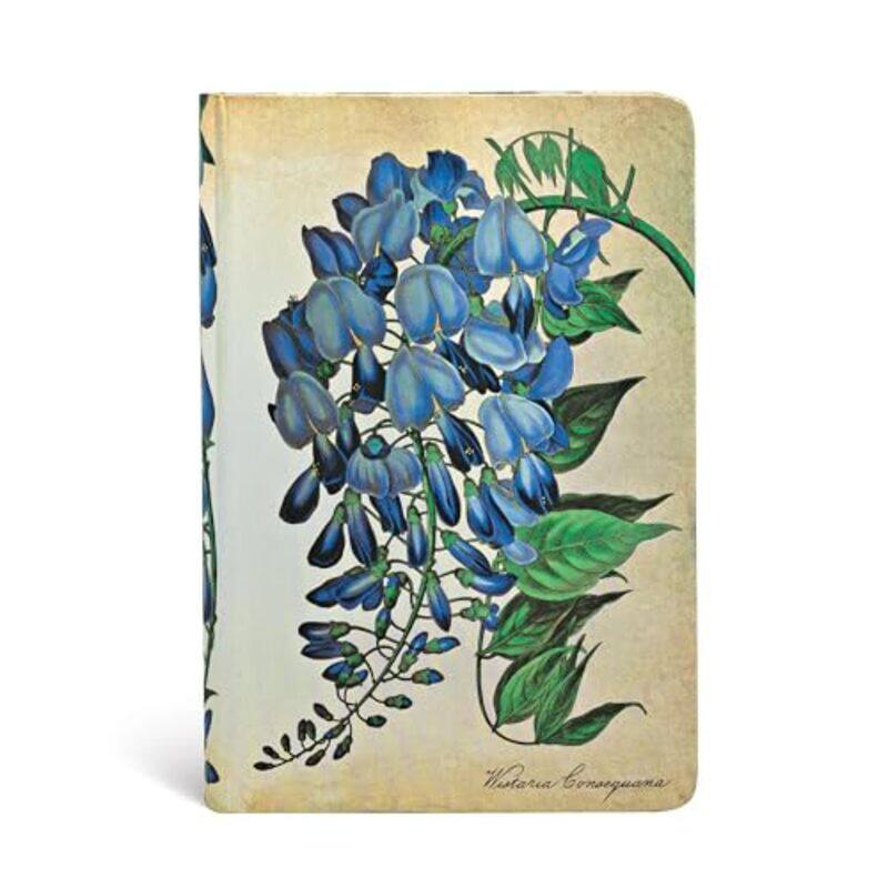 Blooming Wisteria Mini Lined Hardcover Journal by Claire MooneyAlice HansenLindsey DavidsonSue FoxReg Wrathmell-Hardcover
Blooming Wisteria Mini Lined Hardcover Journal by Claire MooneyAlice HansenLindsey DavidsonSue FoxReg Wrathmell-Hardcover