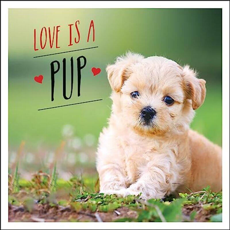 Love is a Pup: A Dog-Tastic Celebration of the World's Cutest Puppies,Hardcover,by:Ellis, Charlie
Love is a Pup: A Dog-Tastic Celebration of the World's Cutest Puppies,Hardcover,by:Ellis, Charlie
