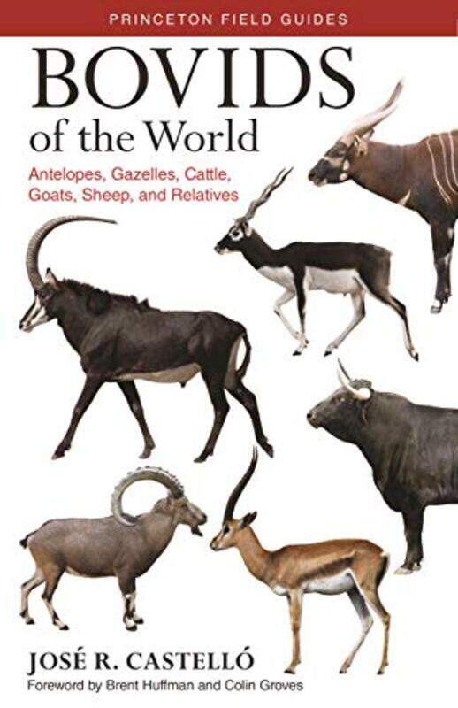 Bovids of the World by Waqar Ahmad Birmingham AhmediHarriet Reading Power-Paperback
Bovids of the World by Waqar Ahmad Birmingham AhmediHarriet Reading Power-Paperback