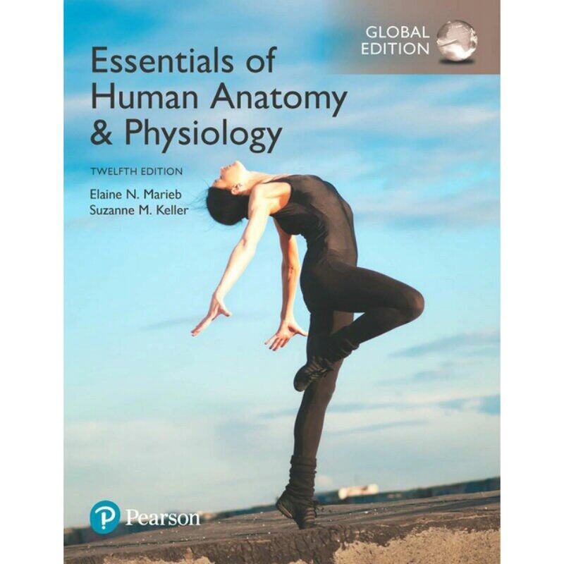 Essentials of Human Anatomy & Physiology, Global Edition, Paperback Book, By: Elaine N. Marieb - Suzanne M. Keller
Essentials of Human Anatomy & Physiology, Global Edition, Paperback Book, By: Elaine N. Marieb - Suzanne M. Keller