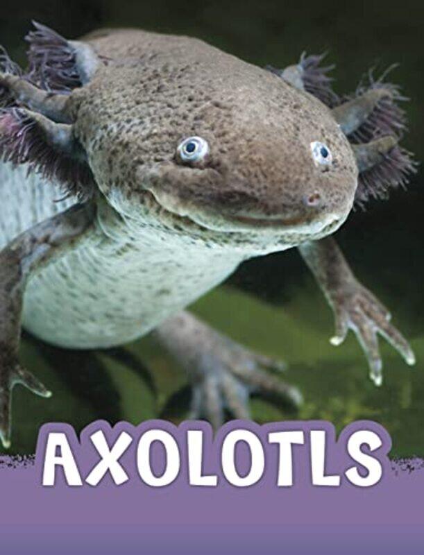 Axolotls by Yung-kuo Nus Singapore LimKe-lin Univ Of Sci Tech Of China China Wang-Paperback
Axolotls by Yung-kuo Nus Singapore LimKe-lin Univ Of Sci Tech Of China China Wang-Paperback
