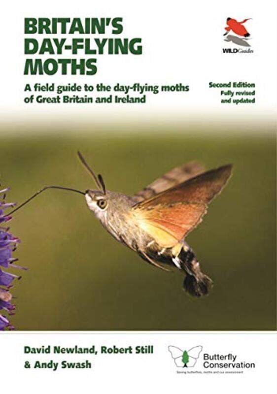 Britains Dayflying Moths by Darlyne A MurawskiNancy HonovichNational Geographic Kids-Paperback
Britains Dayflying Moths by Darlyne A MurawskiNancy HonovichNational Geographic Kids-Paperback