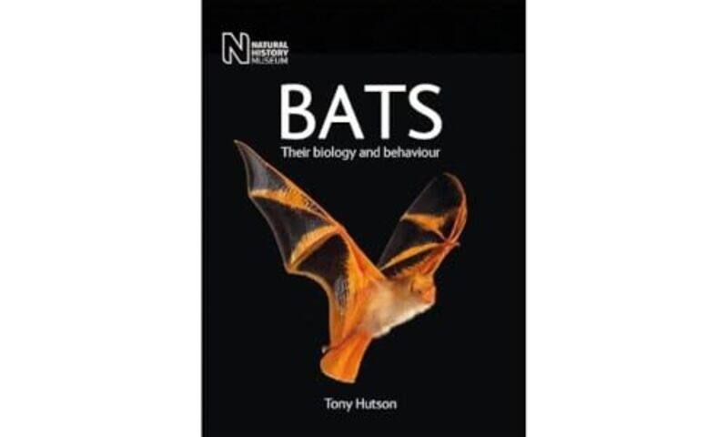 Bats by Michael University of Nottingham McCarthyJeanne McCartenHelen Sandiford-Paperback
Bats by Michael University of Nottingham McCarthyJeanne McCartenHelen Sandiford-Paperback