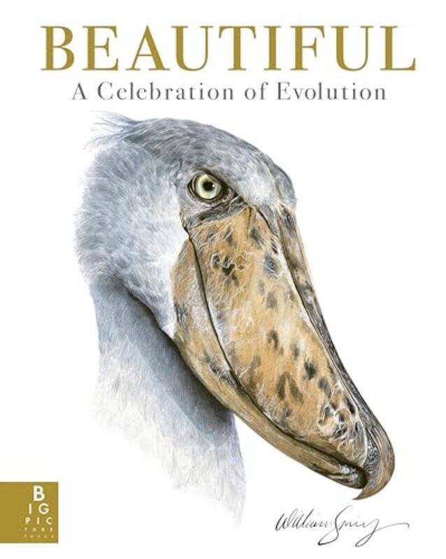Beautiful by Brenda WalpoleAshby Merson-DaviesLeighton DannPeter HoebenMark Headlee-Hardcover
Beautiful by Brenda WalpoleAshby Merson-DaviesLeighton DannPeter HoebenMark Headlee-Hardcover